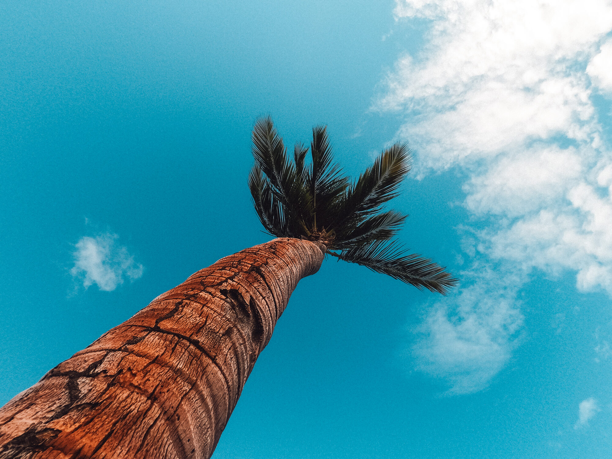 Nature/landscape photograph by Sage Smith