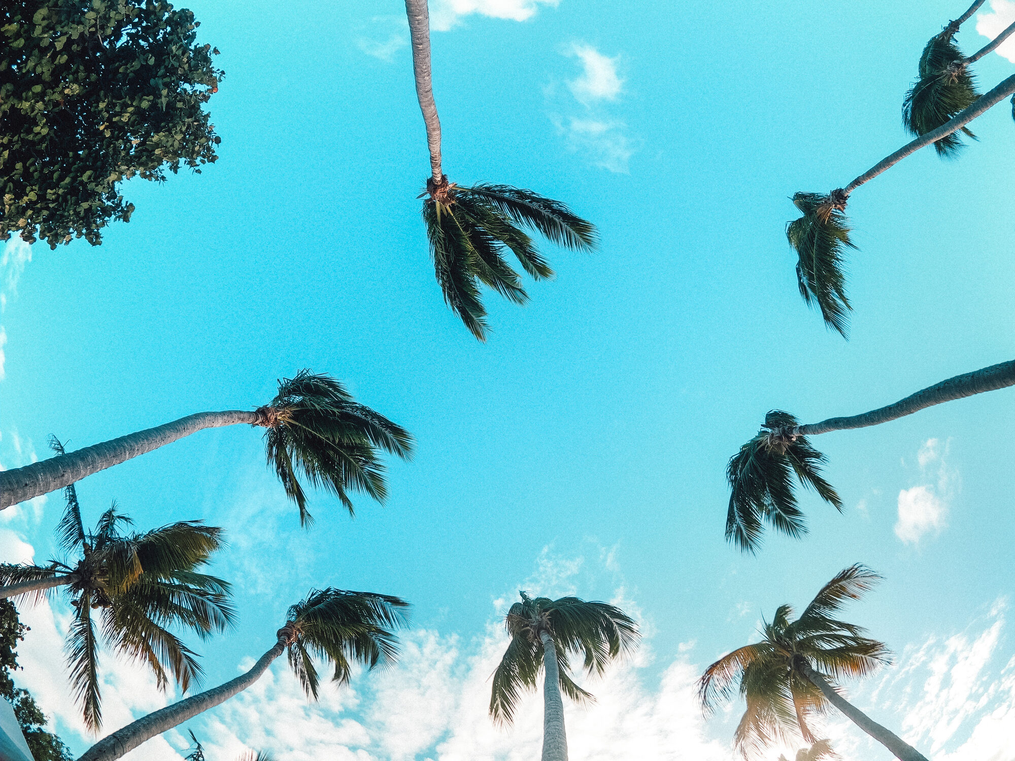 Nature/landscape photograph by Sage Smith